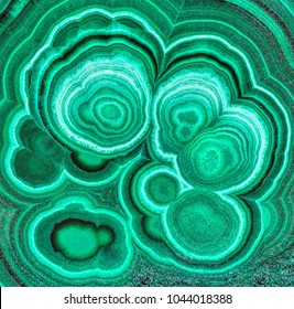 Amazing polished natural slab of green malachite mineral gemstone specimen gemstone macro as a background. Closeup photo texture of green stone specimen. Malachite background