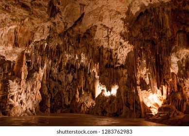 Amazing Postojna Cave, Slovenia