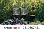 Amazing red wine in glass goblets on decorated with grape bunches table restaurant, celebrating, party in vineyard. Romantic date for two, italian winery. High quality 