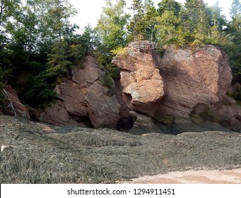 Amazing Rock Formations At Hopewell Rocks In The Bay Of Fundy In New Brunswick, Canada. Extremely Low Tides Let People Walk On Ocean Floor.