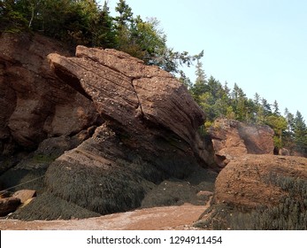 Amazing Rock Formations At Hopewell Rocks In The Bay Of Fundy In New Brunswick, Canada. Extremely Low Tides Let People Walk On Ocean Floor.