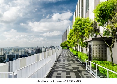 Amazing Rooftop Garden. Beautiful Outside Terrace With Park And Scenic City View. Modern Benches Under Green Trees Along Walkway. Urban Eco Design And Mini-ecosystem. Landscaping In Singapore.