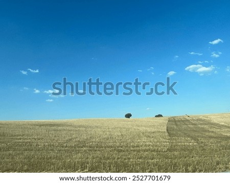 Similar – Old windmill at sunset. Spring Moravian rolling hills