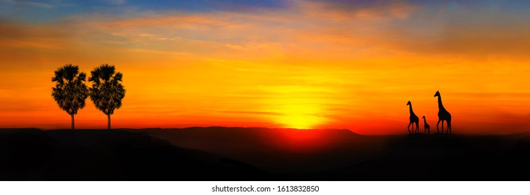 Amazing safari background. Giraffe Silhouette - African Wildlife Background - Beauty in Color and Freedom - Powered by Shutterstock