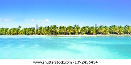 Amazing sandy beach with coconut palm trees and blue sky. Caribbean Sea coast