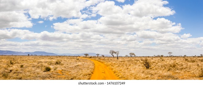 Amazing Savannah Plains Landscape And Safari Road In Kenya