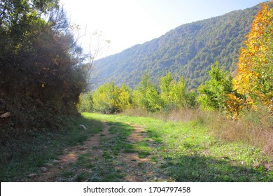 følsomhed Bageri tand Lebanese Nature Images, Stock Photos & Vectors | Shutterstock
