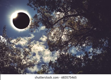 Amazing scientific natural phenomenon. Prominence and internal sun's corona. Total solar eclipse with diamond ring effect glowing on blue sky above silhouette of trees, serenity nature background.