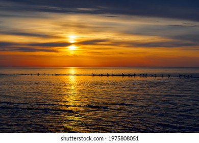 Amazing sea sunset, Nature landscape background