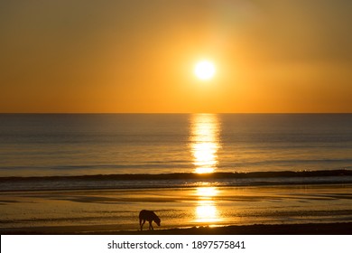 An Amazing Shot Of A Calm Blue Sea On Orange Sunset Background