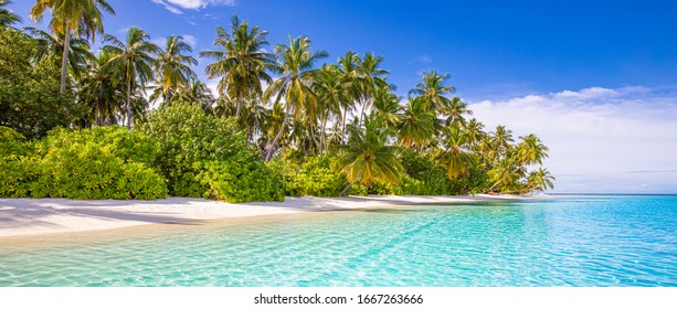 Amazing summer beach panorama. Exotic island coastline with palm trees and white sand close to amazing blue sea and lagoon. Tropical paradise beach scenery, fantastic vacation or holiday concept view