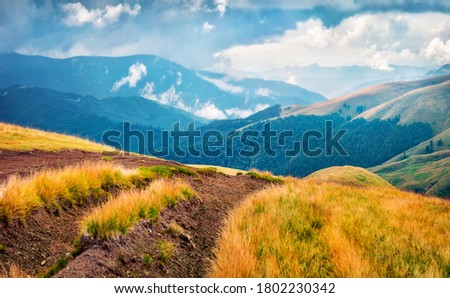 Amazing summer scene of Svydovets mountain range with old country road. Stunning morning view of misty Carpathian mountains, Ukraine, Europe. Traveling concept background.
