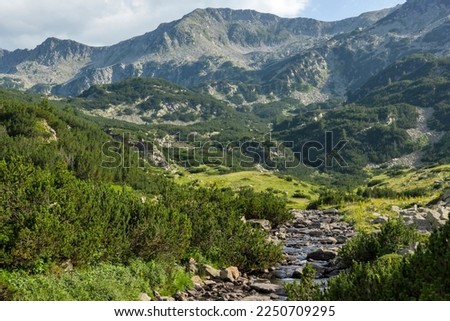 Amazing Summer view of Pirin Mountain around Banderitsa River, Bulgaria