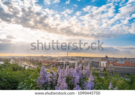 Sonnenaufgang über Prag und fliederfarbene Blumen