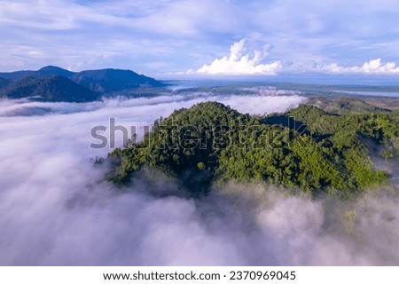 Similar – Image, Stock Photo Fog over the forest Sun