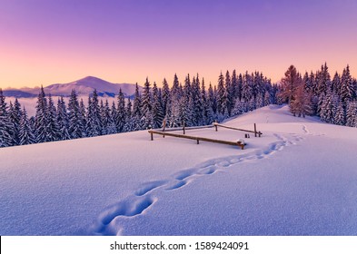 Amazing sunset ihigh n the mountains with fir trees and footprints on the deep snow  - Powered by Shutterstock