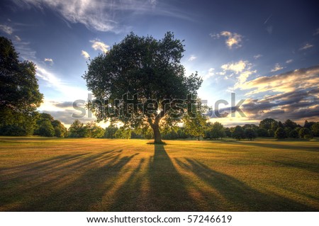 Amazing sunset on a golf-course (HDR)