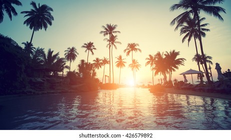 Amazing sunset on a tropical coast with palm trees.