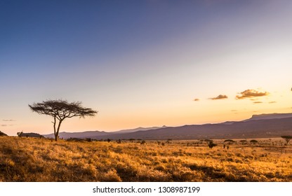 Amazing sunset at savannah plains in Tsavo East National Park, Kenya - Powered by Shutterstock