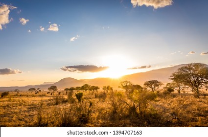 Amazing sunset at savannah plains in Tsavo East National Park, Kenya