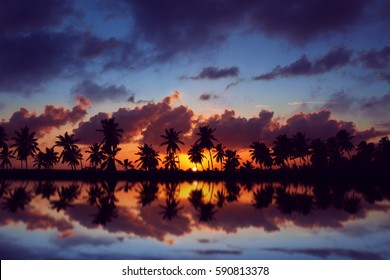 Amazing sunset sky with reflection on the water, beach with palm trees silhouette