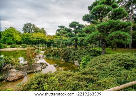 Amazing sunset view  Japanese garden in NORDPARK in Dusseldorf with pond and reflections and topiary pine trees in  rightand japanese maples in distance