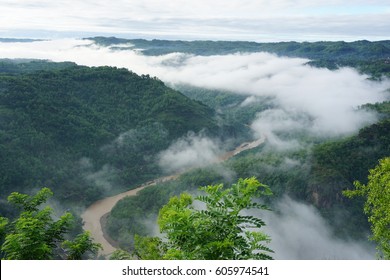 Amazing Top View Kebun Buah Mangunan Stock Photo 605974541 | Shutterstock