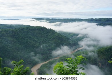 Amazing Top View Kebun Buah Mangunan Stock Photo 605974541 