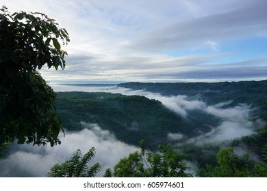 Amazing Top View Kebun Buah Mangunan Stock Photo 605974601 | Shutterstock