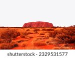 Amazing travel to Australia. From Sydney to Melbourne, through Great Ocean Road and Kangaroo Islands; adventures in Ayers Rock (Uluru) and Cairns (Great Barrier Reef).