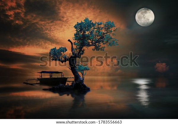 Amazing Tree Under Moonlight Stock Photo Edit Now