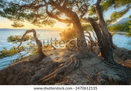 Similar – Image, Stock Photo Shore from roots in an inland water body