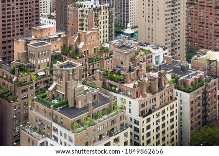 amazing urban rooftop gardens of new york buildings