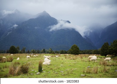 Amazing Valley Located In NZ