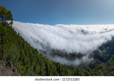 Amazing View About Sea Of Clouds In Tenerife