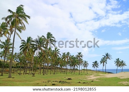 Amazing View of Anakena Beach with Rows of Pam Trees, Pacific Ocean Coast, Easter Island, Chile, South America