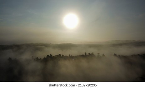 Amazing View Of Borneo Tropical Rainforest With Sunrise Mist And Fog Rays In The Morning, Taken By 4k Drone.