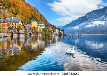 Similar – Image, Stock Photo Reflection in Hallstatt Lake, Austria