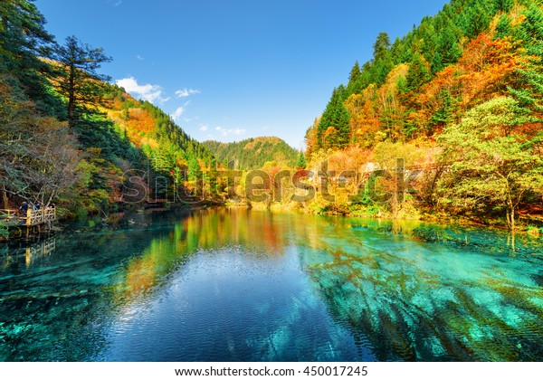 Amazing View Five Flower Lake Multicolored Stock Photo Edit Now 450017245