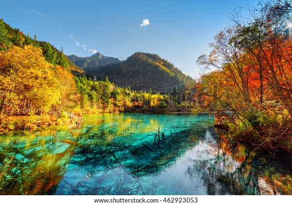 Amazing View Five Flower Lake Multicolored Stock Photo (Edit Now) 462923053