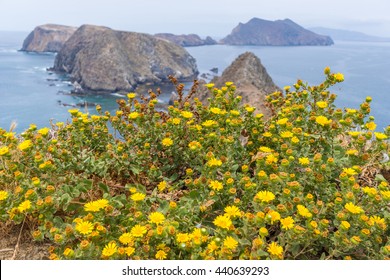 Amazing view from Inspiration point, Anacapa island, California.