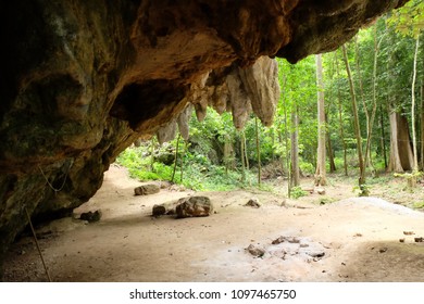 Amazing View Of Limestone Cave In Rimba Kenong Park 