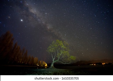 Amazing view of milky way at the Wanaka Lake shore.Milky way over the famous willow tree also known as THAT WANAKA TREE.