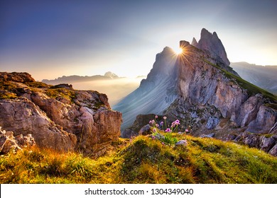 Amazing view on Seceda peak. Trentino Alto Adige, Dolomites Alps, South Tyrol, Italy, Europe. Odle mountain range, Val Gardena. Majestic Furchetta peak. Purple flowers in the morning sunlight.