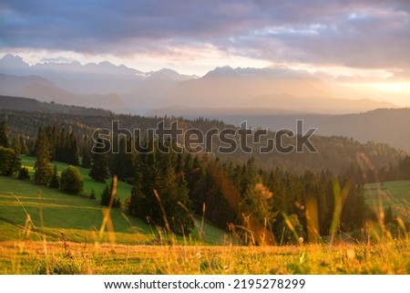 Similar – Image, Stock Photo Inspiring evening light in spring. Sunset in Mountains