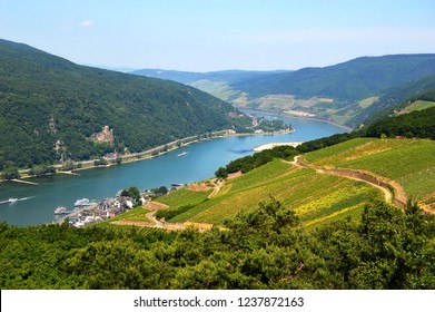 Amazing view over the river Rhine from the top of the hill in Rudesheim, Germany
