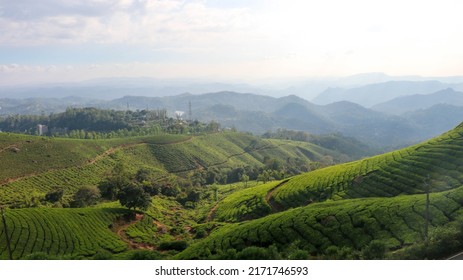 Amazing View Of Tea Garden From Kannan Devan Hills, Munnar, Kerala, India