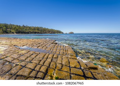 Amazing view to Tessellated Pavement, Eaglehawk Neck turquoise blue water and green shore jungle forest on warm sunny clear sky relaxing day, Tasman Peninsula National Park, Tasmania, Australia
 - Shutterstock ID 1082067965
