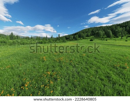 Amazing views of the flowery meadow on background of the mountains. Orange Globeflowers.