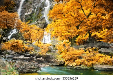 Amazing waterfall in colorful autumn forest  - Shutterstock ID 333856139
